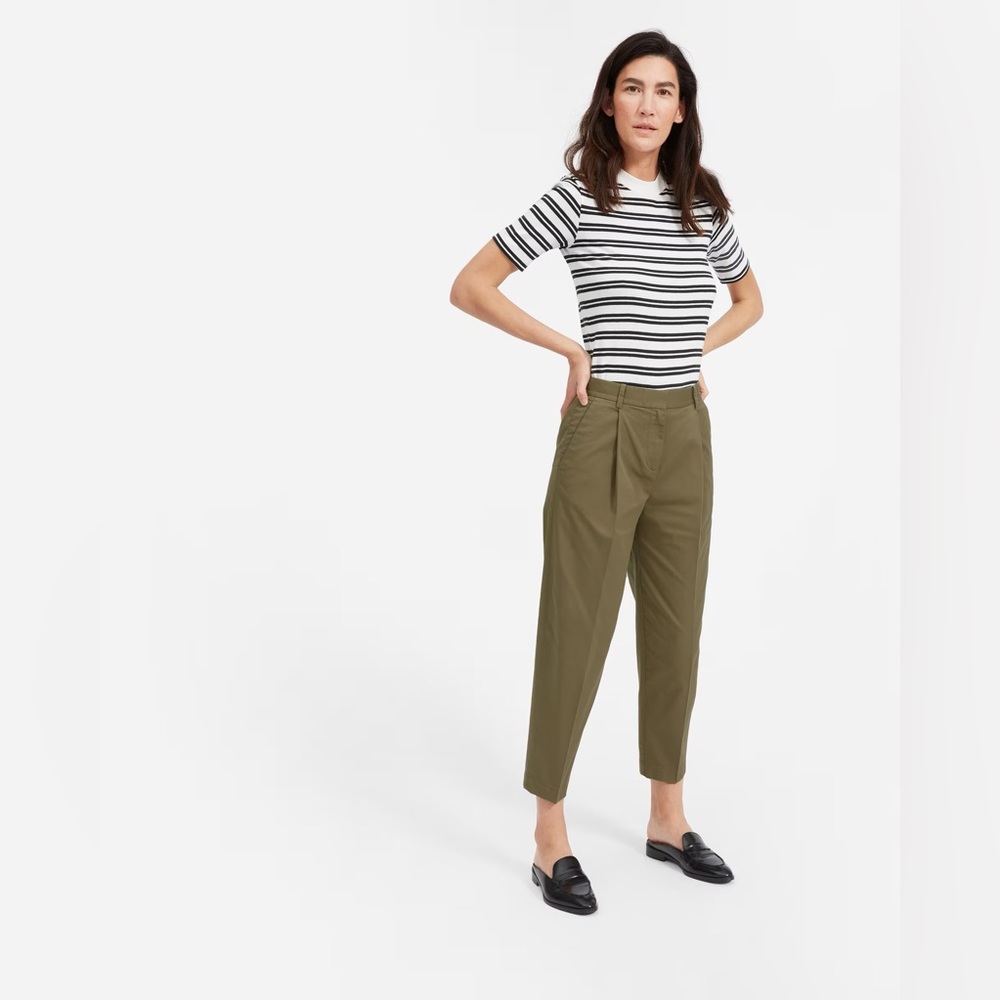 Everlane The Slouchy Pleated Chino